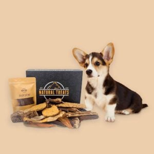 Caixa de Natural Treats para cachorros