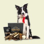 Create a box of natural treats