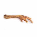 Turkey Foot