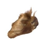 Orelha de vaca com pêlo