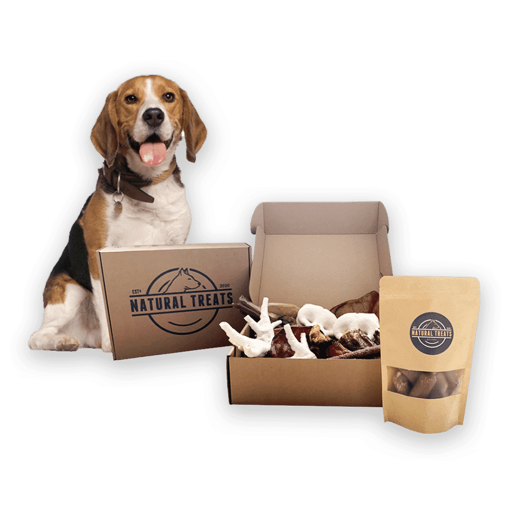 Natural Treats Des Friandises Et Des Produits A Macher Sains Pour Les Chiens