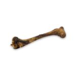 Deer bone for dogs