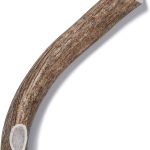 Deer Antler